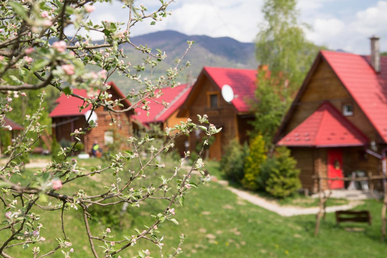 Teremok Guest House Vyshka Exterior photo